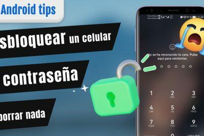 Teléfono Android bloqueado, con pantalla de contraseña olvidada. Desbloqueo sin pérdida de datos.